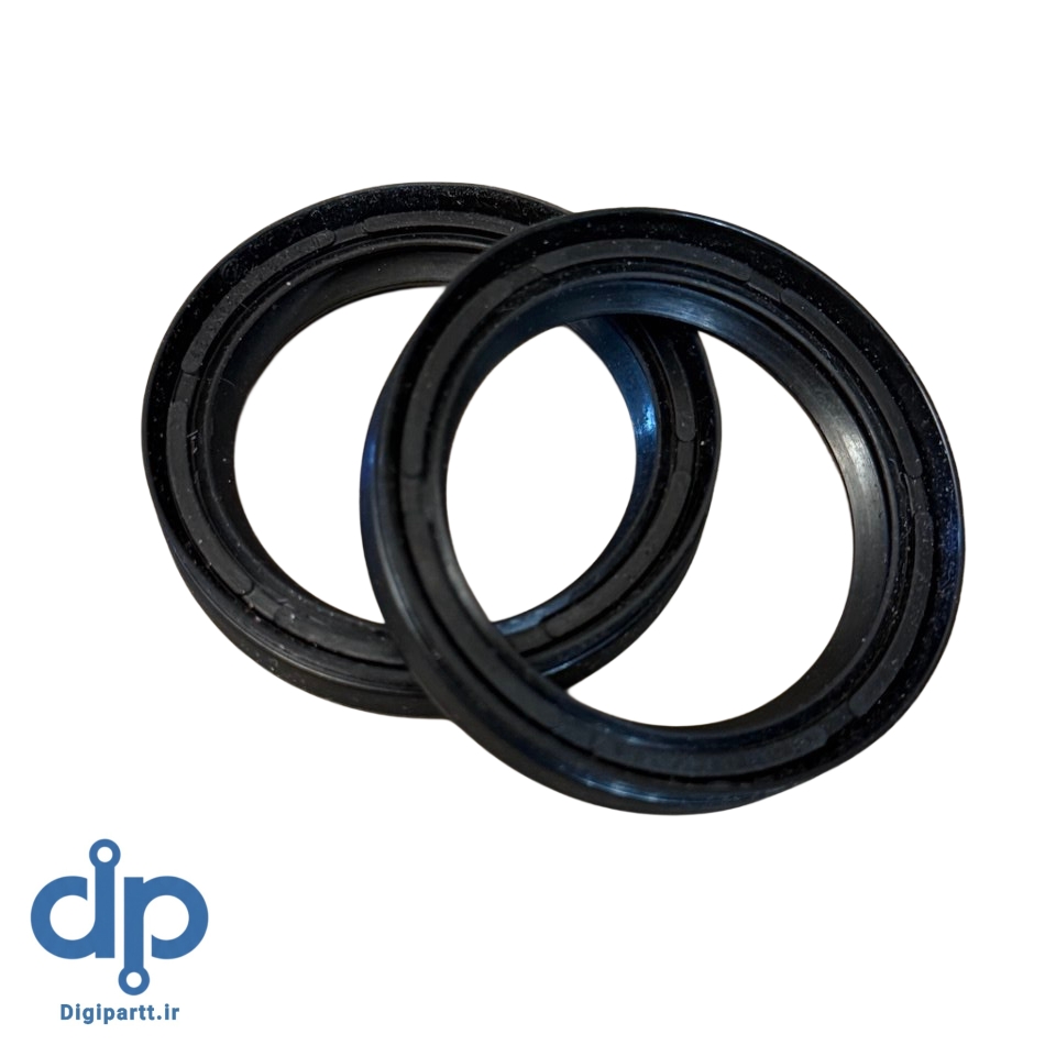 کاسه‌نمد دیفرانسیل عقب دانگ فنگ H30